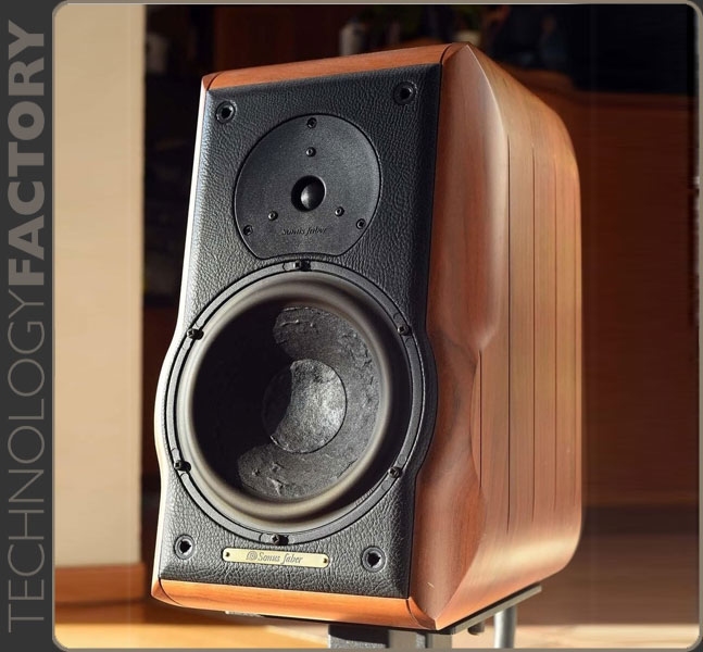 sonus faber electa amator i