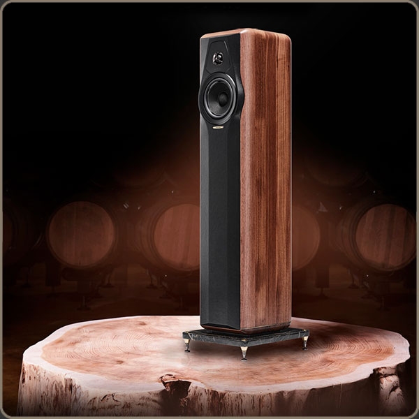 sonus faber maxima amator price