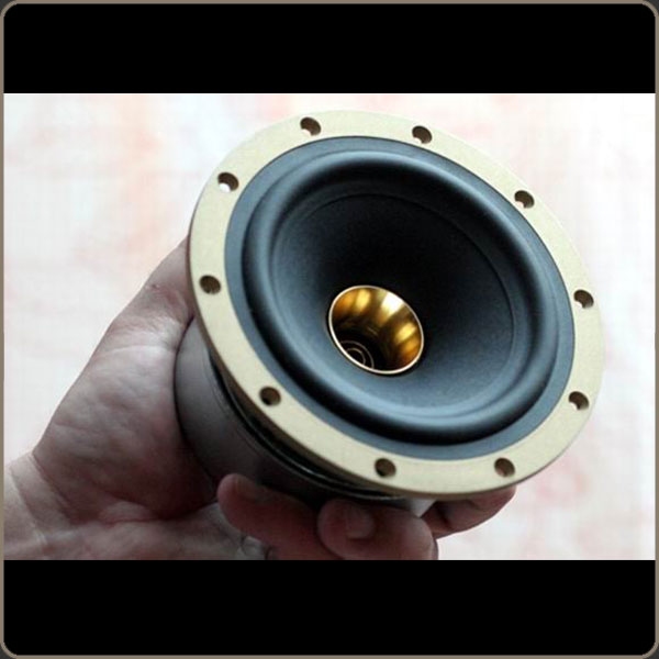 Tannoy autograph mini store gr